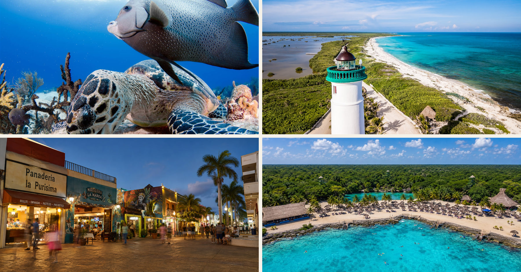 Things to Do in Cozumel